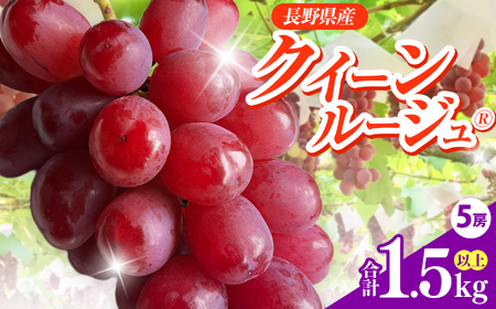 信州伊那産ぶどう　クイーンルージュ(R)(1.5kg以上) 5房｜ぶどう 葡萄 クイーンルージュ 種なし ぶどう高級 フルーツ ギフト フルーツ 旬のフルーツ 伊那市 長野県産 【020-49】
