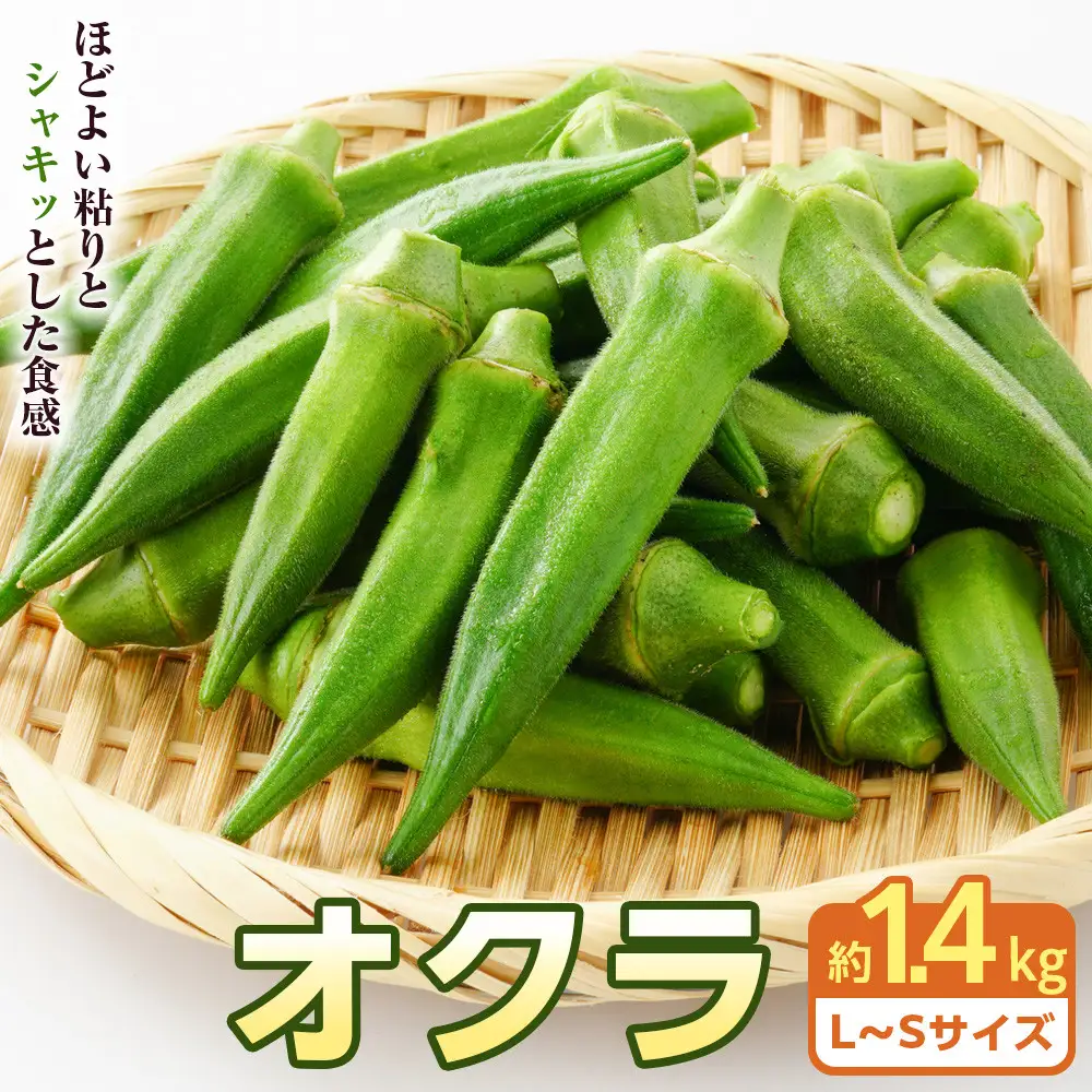 オクラ　約1.4kg | オクラ