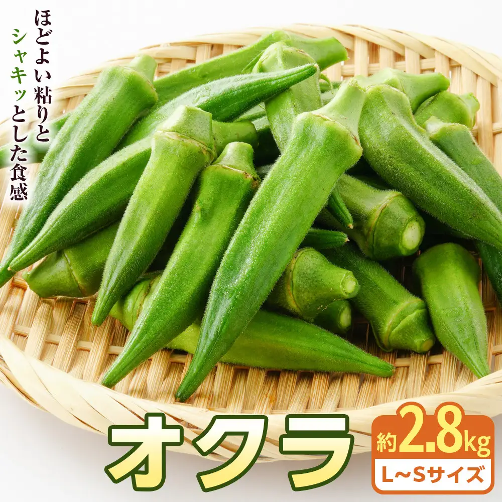 オクラ　約2.8kg | オクラ