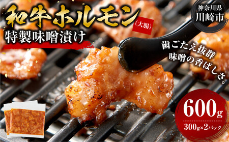 ＜訳アリ＞和牛ホルモン（大腸）　特製味噌漬け　0.6kg(300g×2）【2026年10月発送】