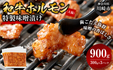＜訳アリ＞和牛ホルモン（大腸）　特製味噌漬け　0.9kg(300g×3）【2026年11月発送】