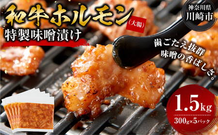 ＜訳アリ＞和牛ホルモン（大腸）　特製味噌漬け　1.5kg(300g×5）【2026年11月発送】