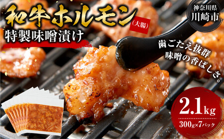 ＜訳アリ＞和牛ホルモン（大腸）　特製味噌漬け　2.1kg(300g×7）【2026年10月発送】