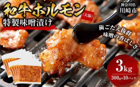 ＜訳アリ＞和牛ホルモン（大腸）　特製味噌漬け　3kg(300g×10）【2026年9月発送】