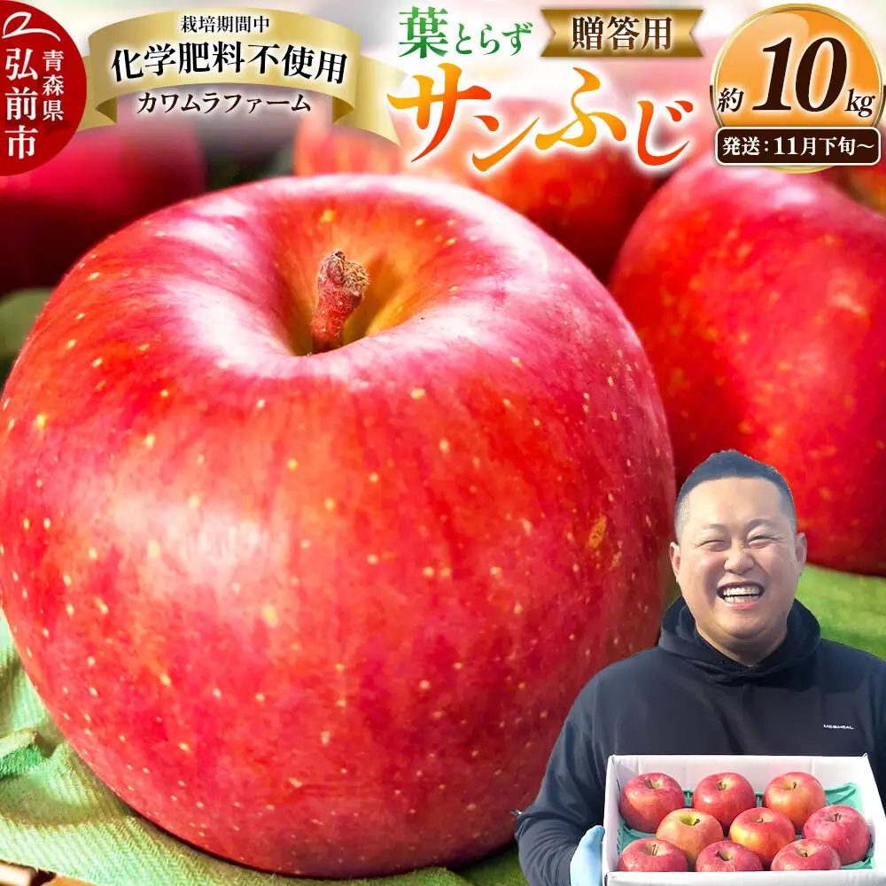 りんご 葉とらず サンふじ 贈答用 約10kg【11月下旬～発送】