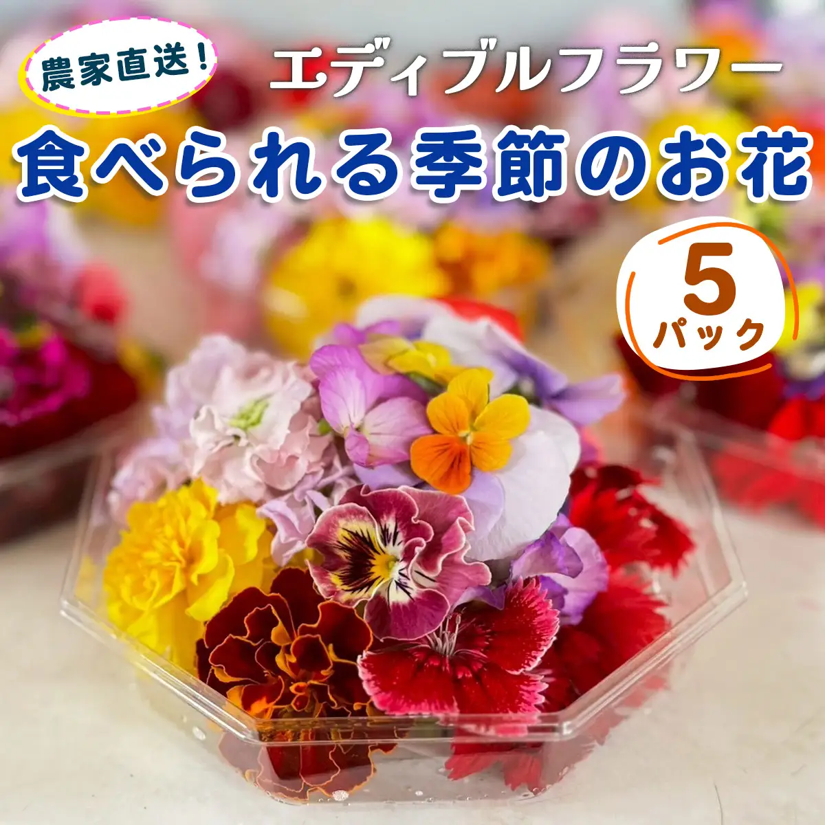 農家直送！加藤さんちのエディブルフラワー 5パック (1パックあたり季節のお花15輪から30輪) [0764]