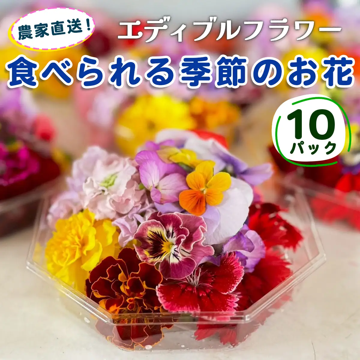 農家直送！加藤さんちのエディブルフラワー 10パック (1パックあたり季節のお花15輪から30輪) [0765]