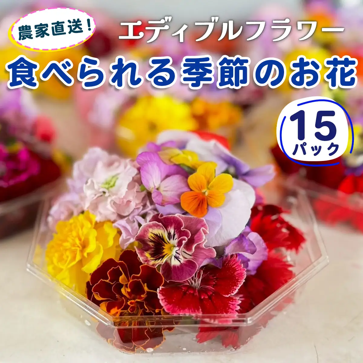 農家直送！加藤さんちのエディブルフラワー 15パック (1パックあたり季節のお花15輪から30輪) [0766]
