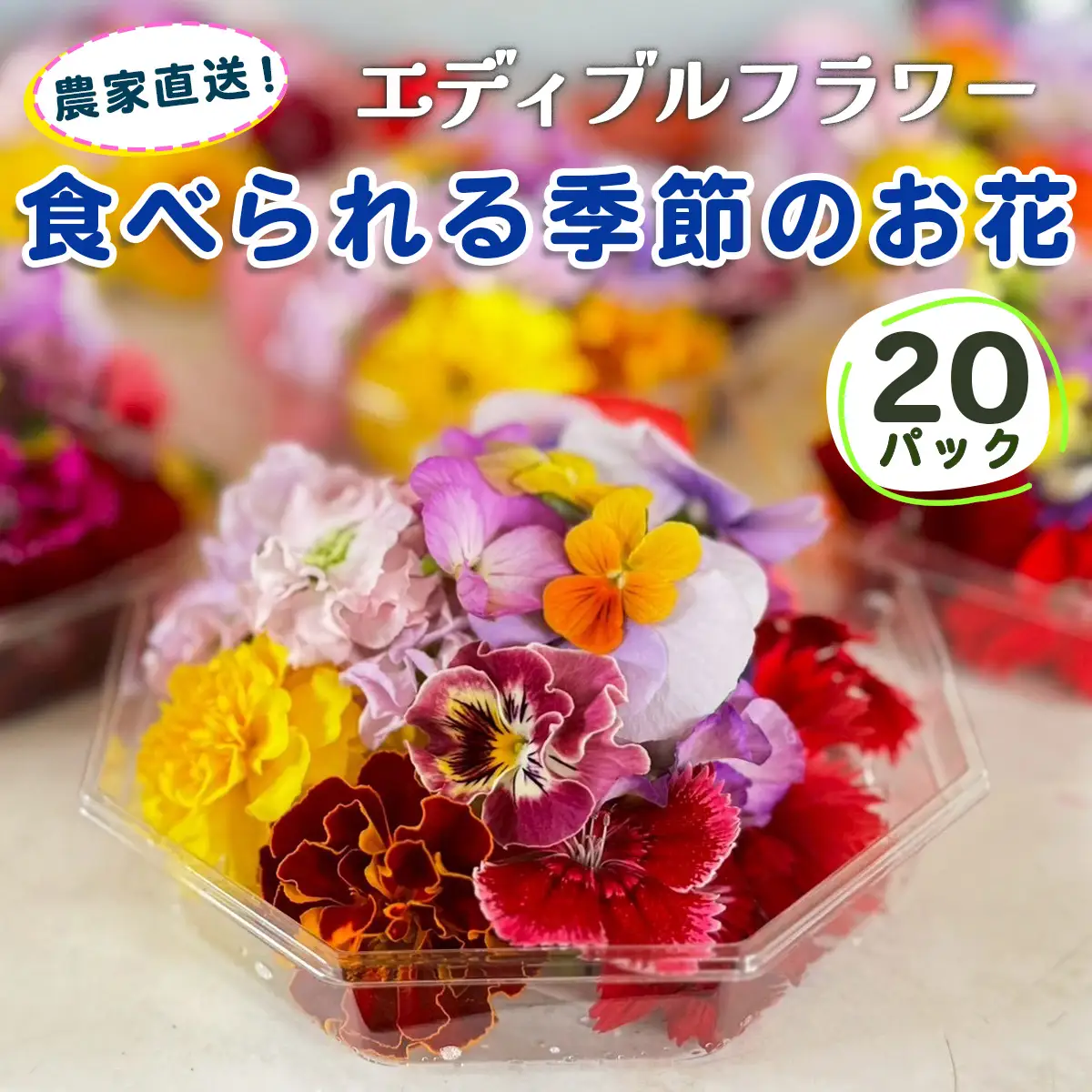 農家直送！加藤さんちのエディブルフラワー 20パック (1パックあたり季節のお花15輪から30輪) [0767]