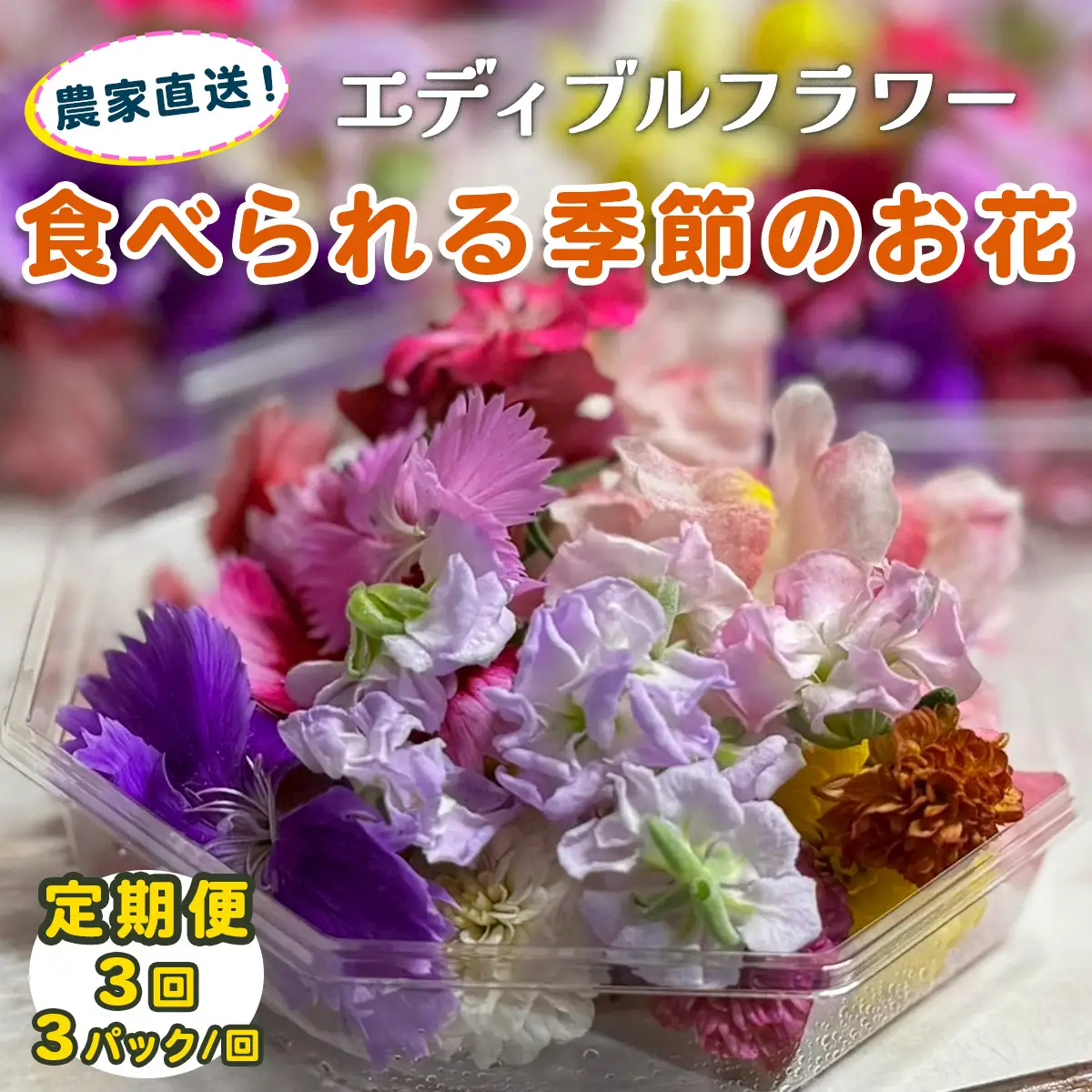 [定期便3回] 農家直送！加藤さんちのエディブルフラワー 3パック (1パックあたり季節のお花15輪から30輪) [0769]