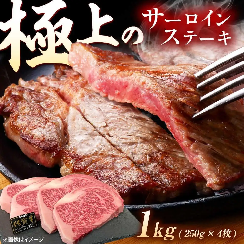 ステーキ 佐賀牛 サーロインステーキ 1kg [UEM061]