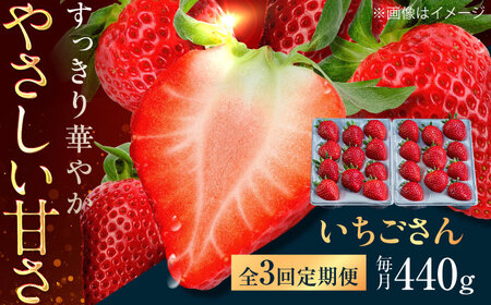【3回定期便】佐賀県産イチゴ「いちごさん」約440g /有限会社しげやす[UEQ005]イチゴ