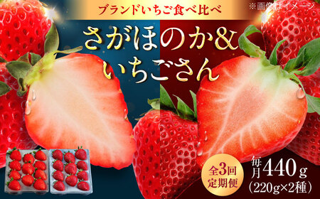 【3回定期便】赤いちご食べ比べ定期便（毎月 約440g） /有限会社しげやす[UEQ006]いちご