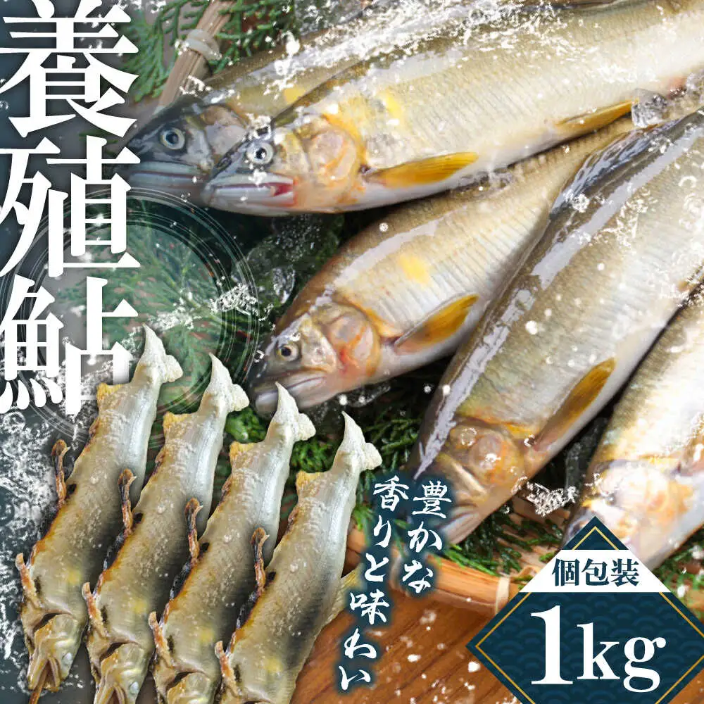 日田産養殖鮎(冷凍)1kg　日田市 / 日田漁業協同組合 魚 あゆ アユ[ARFJ003]