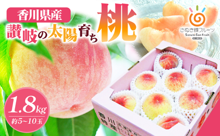 桃 さぬきの桃 讃岐の太陽育ち 瀬戸内 桃【約1.8kg 5〜10玉】 【46311931】