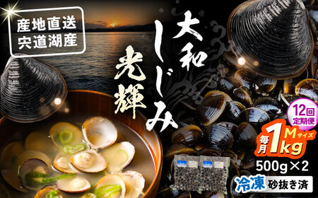 【全12回定期便】産地直送！宍道湖産 冷凍大和しじみMサイズ1kg(500g×2) 砂抜き処理済 島根県松江市/りすたむmatsue[ALDE021]