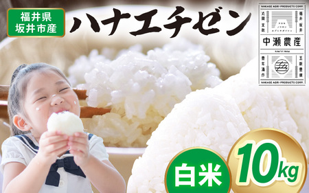 先行予約 【令和8年産・新米】 坂井市産 ハナエチゼン 白米 10kg (中瀬農産) 2026年10月以降順次発送予定 精米 おこめ [A-20506]