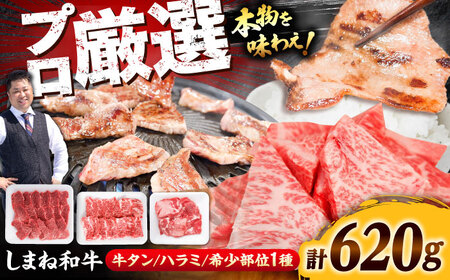焼肉 希少部位焼肉セット（620g）[AIEF014]