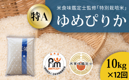 令和8年産新米【定期便】特別栽培米ゆめぴりか 10kg×12回 北海道当麻町 舟山農産 減農薬 低農薬【AB-049】