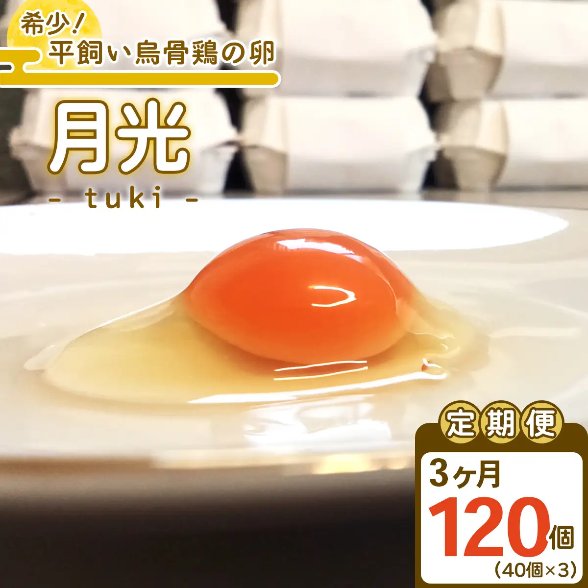 [定期便／3ヵ月] 希少！平飼い烏骨鶏の卵「月光《tuki》」40個×3回 計120個 [0803]