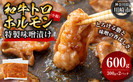 ＜訳アリ＞和牛トロホルモン　特製味噌漬け　0.6kg(300g×2）【2026年11月発送】