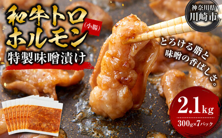 ＜訳アリ＞和牛トロホルモン　特製味噌漬け　2.1kg(300g×7）【2026年11月発送】