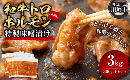 ＜訳アリ＞和牛トロホルモン　特製味噌漬け　3kg(300g×10）【2026年11月発送】