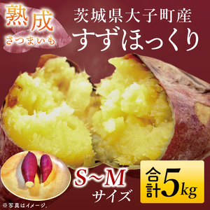 【大子町産】熟成さつまいも すずほっくり 5kg｜茨城県 大子町 サツマイモ 芋 甘い ホクホク 野菜 数量限定 希少品種 秋 旬 産地直送（CH005）