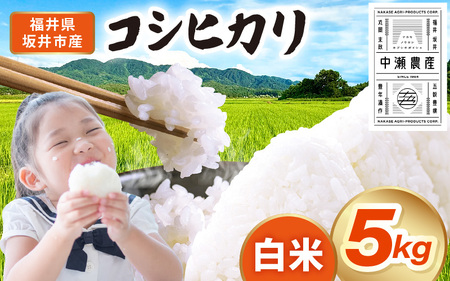 先行予約 【令和8年産・新米】 坂井市産 コシヒカリ 白米 5kg (中瀬農産) 2026年10月以降順次発送予定 精米 おこめ [A-20507]