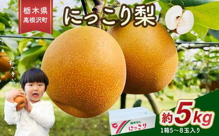 高根沢町産にっこり梨（約5kg・5～8玉入り）| 梨 なし ナシ 果物 くだもの フルーツ 甘い 秋の味覚 産地直送 期間限定 季節限定 季節商品 送料無料 国産 栃木県 高根沢町※2026年10月～発送