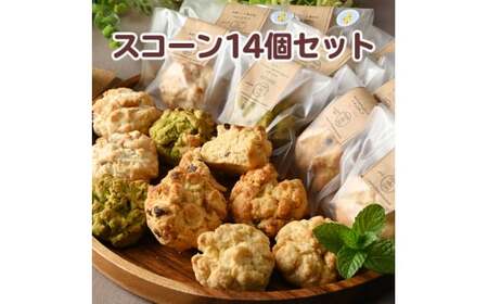 スコーン・アソートメントNo.T14（14コ） スコーン食べ比べ 朝食 おやつ おつまみ 国産小麦粉 米粉 送料無料