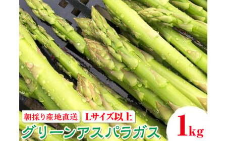 朝採り産地直送グリーンアスパラガス（Lサイズ以上　約1kg）｜ 野菜 有機 高根沢