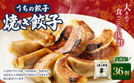 051-1168x1 うちの餃子 焼き餃子 3袋セット 合計36個 餃子のタレ付き 餃子 ぎょうざ ギョウザ  冷凍 おかず おつまみ 国産 豚肉 中華 
