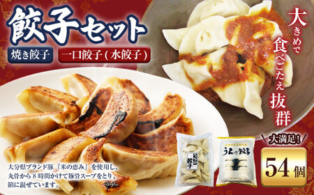 051-1169x1 焼き餃子と一口餃子（水餃子）「Aセット」合計54個 タレ付き 焼き餃子 一口餃子 水餃子 餃子 ぎょうざ ギョウザ  冷凍 おかず おつまみ 中華