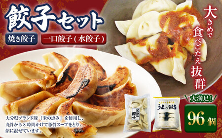 051-1171x1 焼き餃子と一口餃子（水餃子）「Cセット」合計96個 焼き餃子 一口餃子 水餃子 餃子 ぎょうざ ギョウザ 冷凍 おかず おつまみ 国産 豚肉