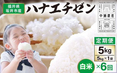 【先行予約】【令和8年産・新米】 定期便 ≪6ヶ月連続お届け≫坂井市産 ハナエチゼン 白米 5kg×6回 計30kg (中瀬農産) 【2026年10月以降順次発送予定】 【米 こめ お米 精米 ブランド米 華越前 国産】 [E-20501]