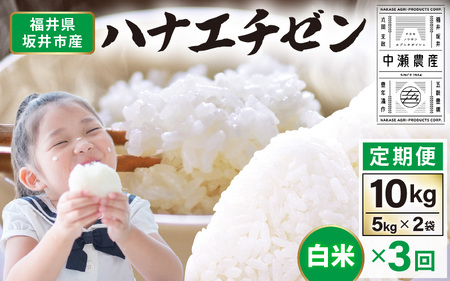 【先行予約】【令和8年産・新米】 定期便 ≪3ヶ月連続お届け≫坂井市産 ハナエチゼン 白米 10kg (5kg×2袋)×3回 計30kg (中瀬農産) 【2026年10月以降順次発送予定】 【米 こめ お米 精米 ブランド米 華越前 国産】 [E-20502]