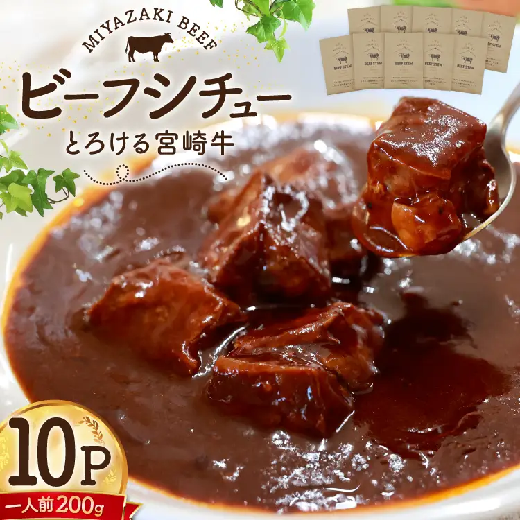 ビーフシチュー レトルト 宮崎牛ビーフシチュー 10P セット