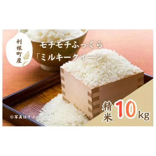モチモチふっくら「ミルキークイーン」精米10kg ／ 米 こめ コメ お米 ご飯 ごはん ミルキークイーン 白米 精米 令和7年産 10kg 利根町 送料無料