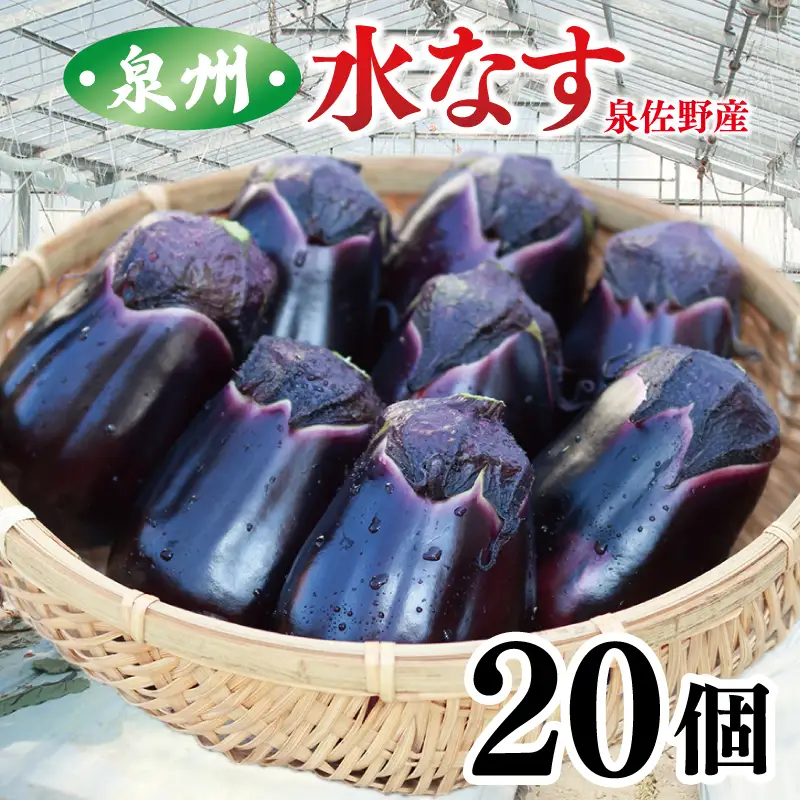 【先行予約】泉州 泉佐野市産 ハウス水なす 20個