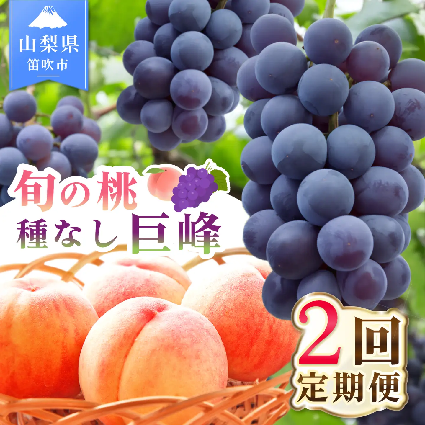 【2026年発送 先行予約】2回定期便 旬のフルーツ定期便（桃1㎏・種無し黒葡萄1房） 180-026-26y