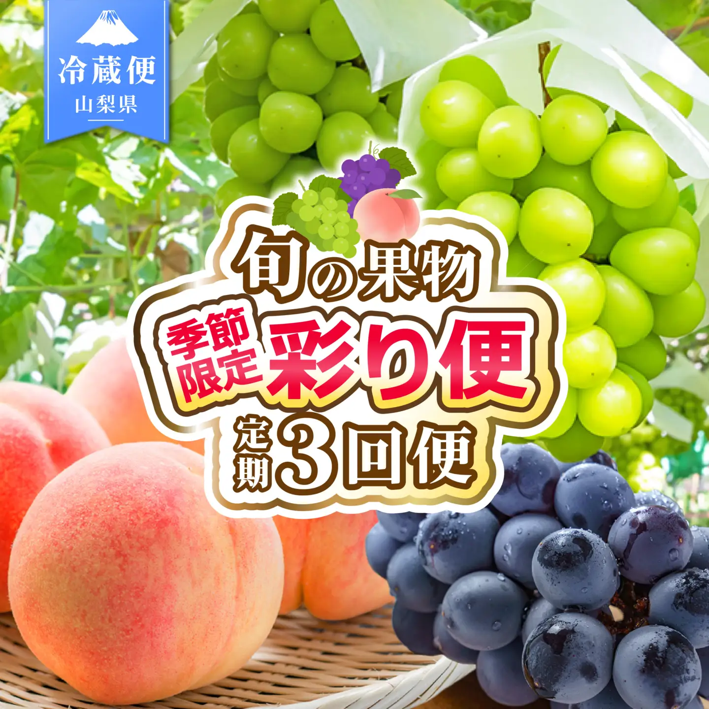 【2026年発送 先行予約】3回定期便 旬のフルーツ定期便（桃1㎏・種無し黒葡萄1房・シャインマスカット1房）180-023-26y