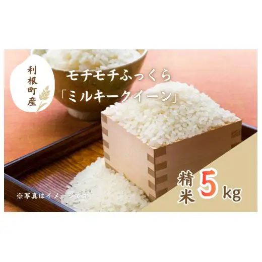 モチモチふっくら「ミルキークイーン」精米5kg ／ 米 こめ コメ お米 ご飯 ごはん ミルキークイーン 白米 精米 令和7年産 5kg 利根町 送料無料