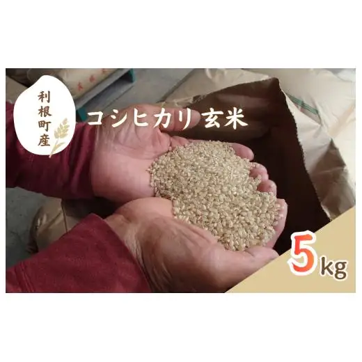 利根町産　コシヒカリ　玄米　5kg ／ 米 こめ コメ お米 おこめ コシヒカリ こしひかり 令和7年産 玄米 ごはん ご飯 5kg 健康志向 茨城県 利根町 産地直送 送料無料