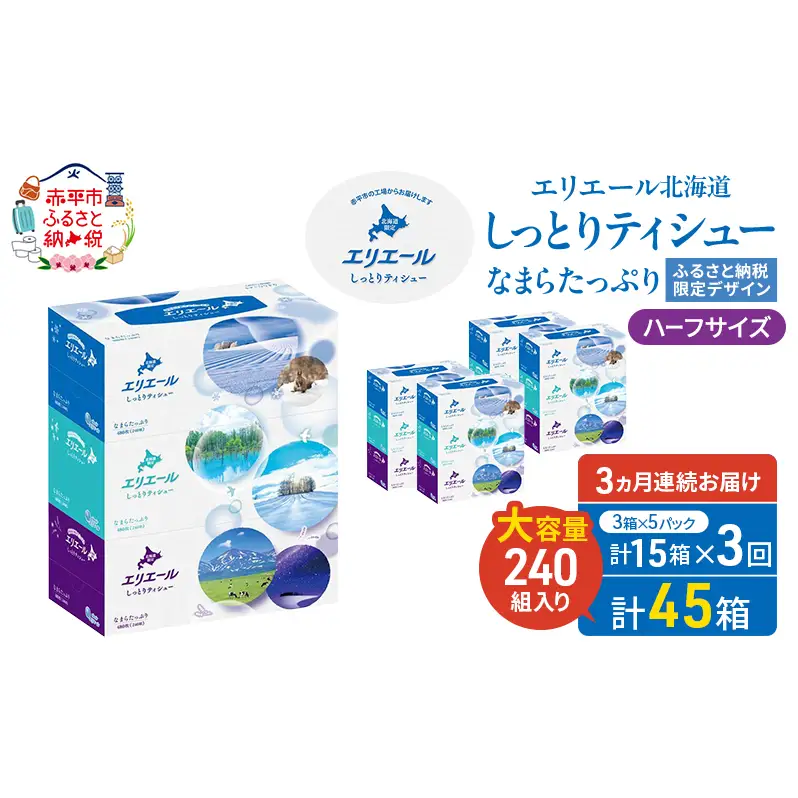 定期便 3ヵ月連続お届け エリエール ハーフサイズ 収納に便利 コンパクト 【少量5パック】 北海道 しっとりティシュー なまらたっぷり 240組3箱 5パック 計15箱 ボックスティシュー ふるさと納税限定デザイン