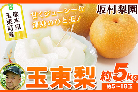 梨 熊本県産 玉東梨 約5kg 坂村梨園 熊本 梨