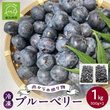 冷凍ブルーベリー 1kg【配送不可地域：離島】【1689025】