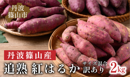 【訳あり】 丹波篠山産 さつまいも 追熟 紅はるか サイズ混合 2kg （M～2L）さつま芋 [CD110]