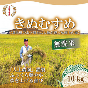 令和7年 鳥取県産 大上農園きぬむすめ無洗米10kg