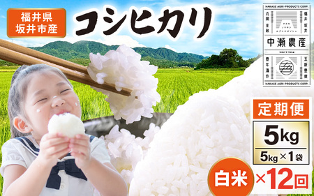 【先行予約】【令和8年産・新米】 定期便 ≪12ヶ月連続お届け≫ 坂井市産 コシヒカリ 白米 5kg×12回 計60kg (中瀬農産) 【2026年10月以降順次発送予定】 【米 こめ お米 精米 ブランド米 こしひかり 国産】 [K-20503]